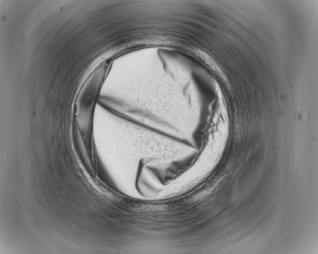 X0000085780845200704131827