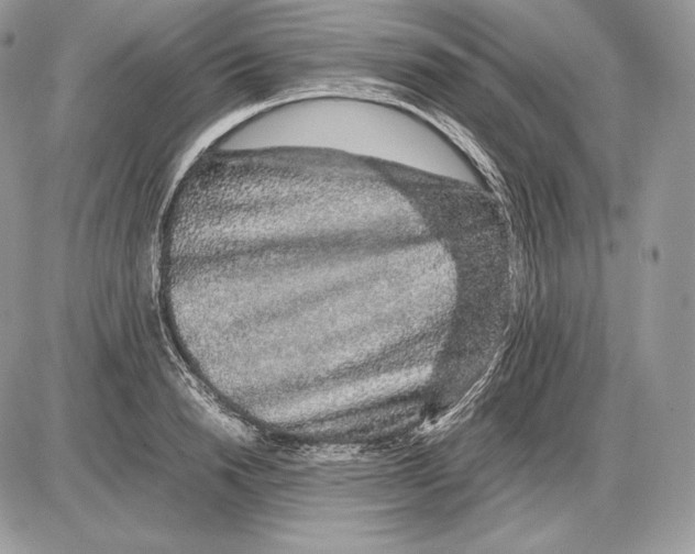 X0000085780846200704131827