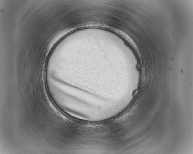 X0000085780847200704131827