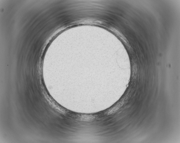 X0000085780848200704131827