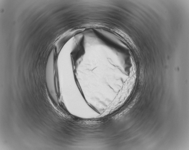 X0000085780849200704131827