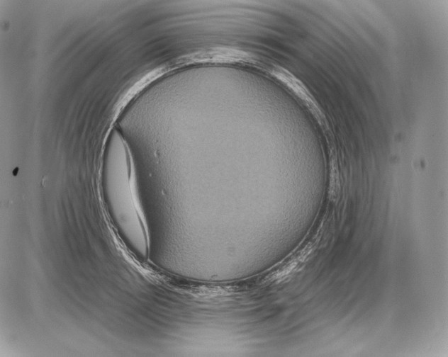 X0000085780850200704131827