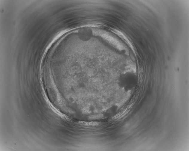 X0000085780851200704131827