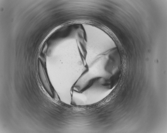 X0000085780852200704131827