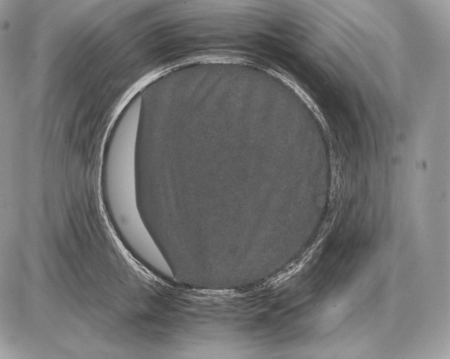 X0000085780853200704131827