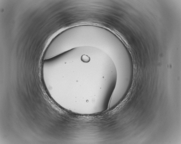 X0000085780854200704131827