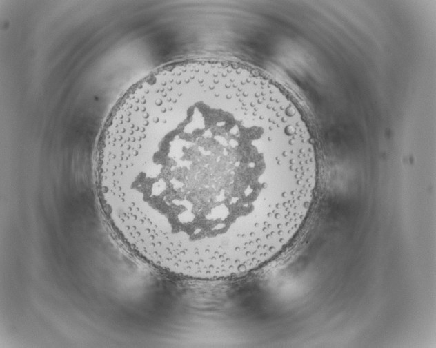 X0000085780856200704131827