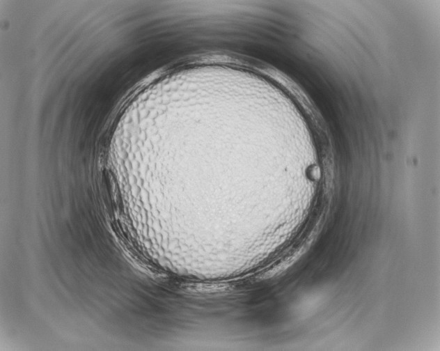 X0000085780857200704131827