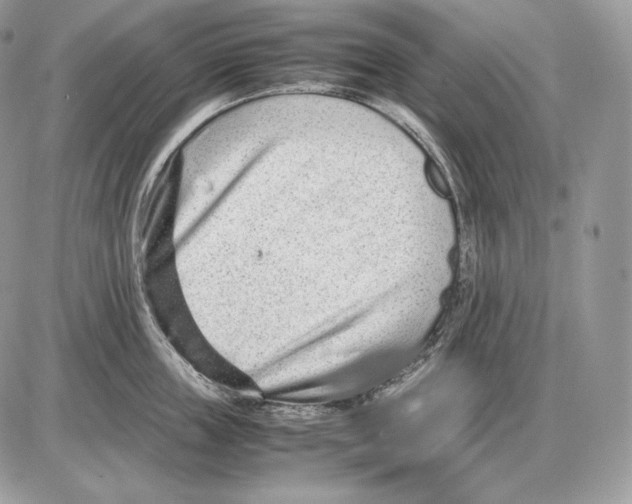 X0000085780859200704131827