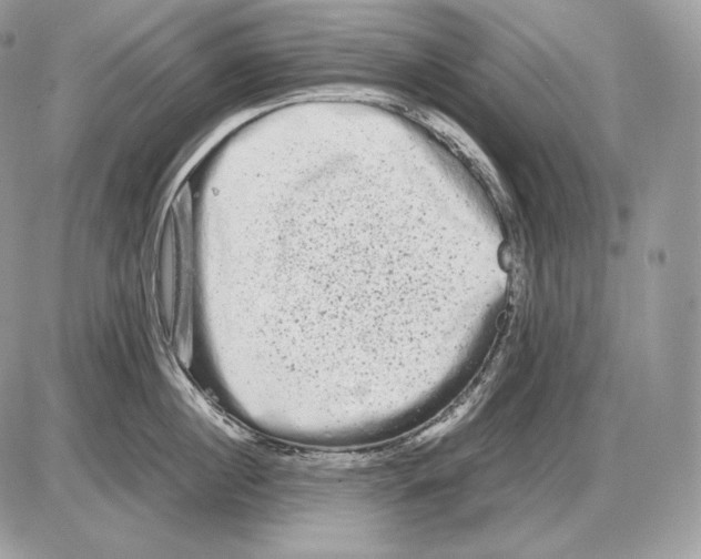 X0000085780860200704131827