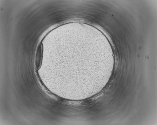 X0000085780861200704131827