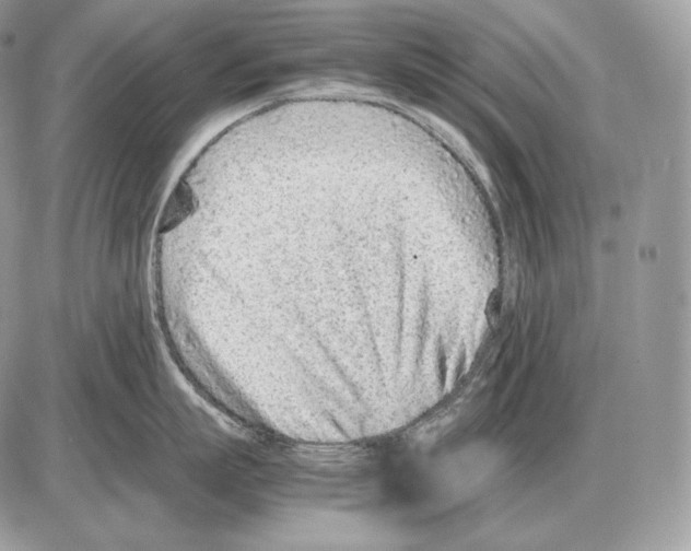 X0000085780863200704131827