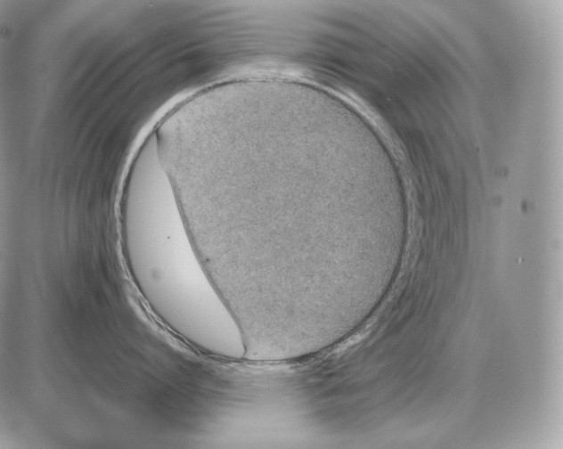 X0000085780864200704131827