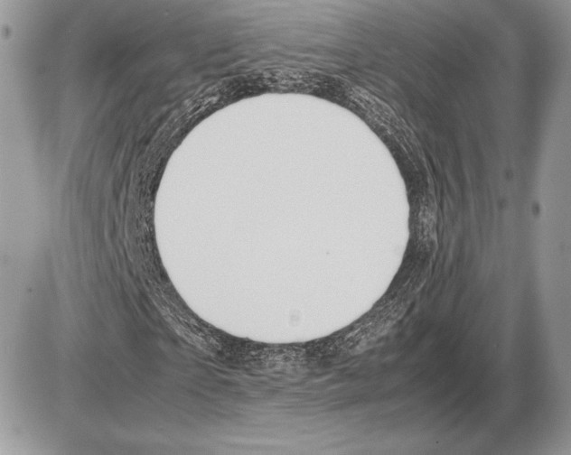 X0000085780865200704131826