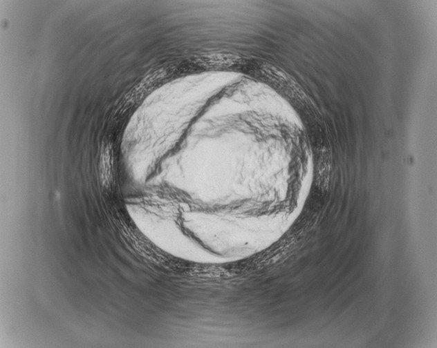 X0000085780866200704131826