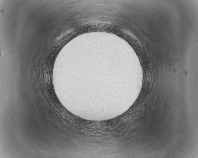 X0000085780869200704131826