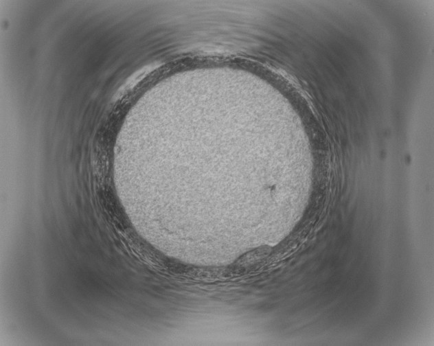 X0000085780871200704131826