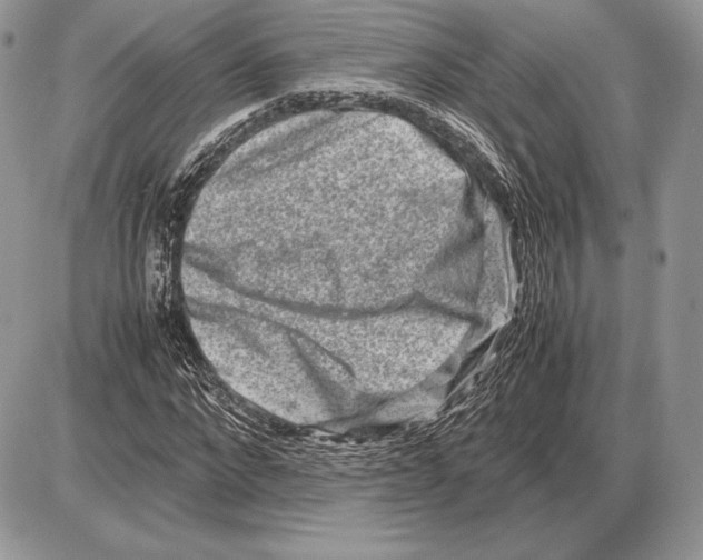 X0000085780872200704131826