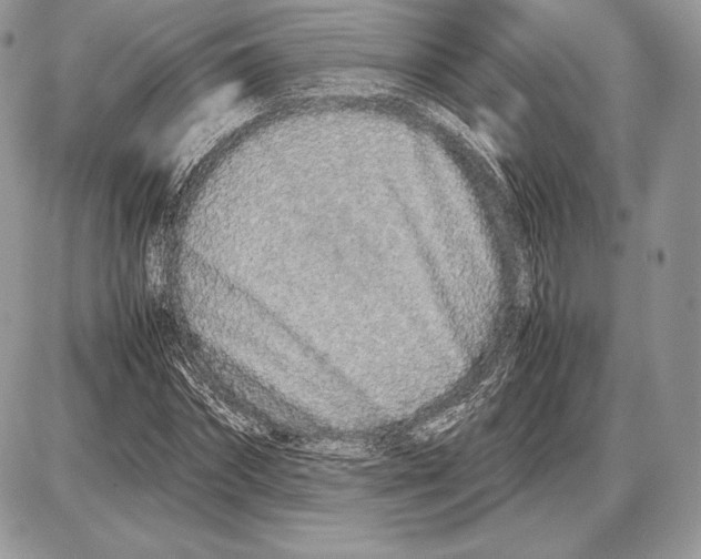 X0000085780874200704131826