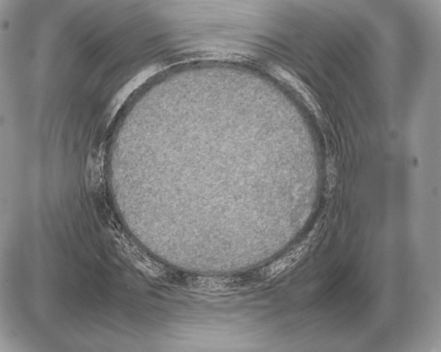 X0000085780875200704131826