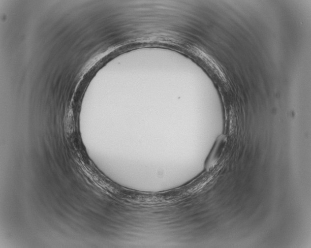 X0000085780876200704131826