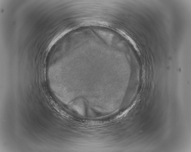 X0000085780877200704131826