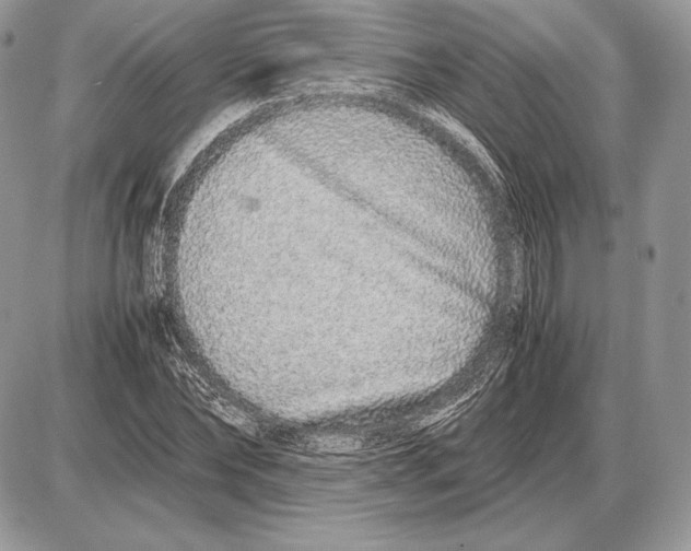 X0000085780878200704131826