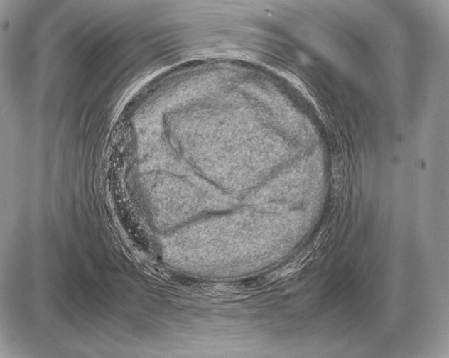 X0000085780879200704131826