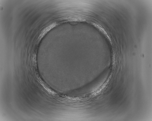 X0000085780881200704131826