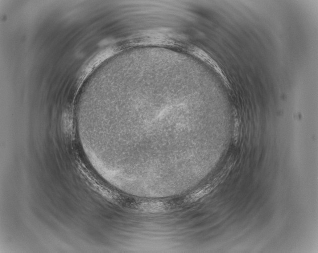 X0000085780882200704131826