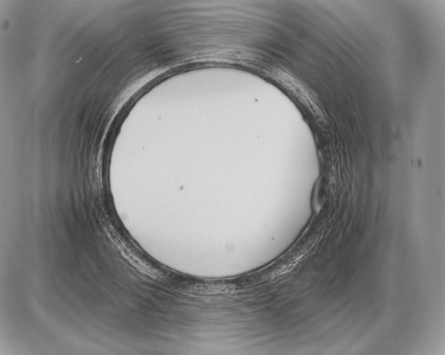 X0000085780884200704131826