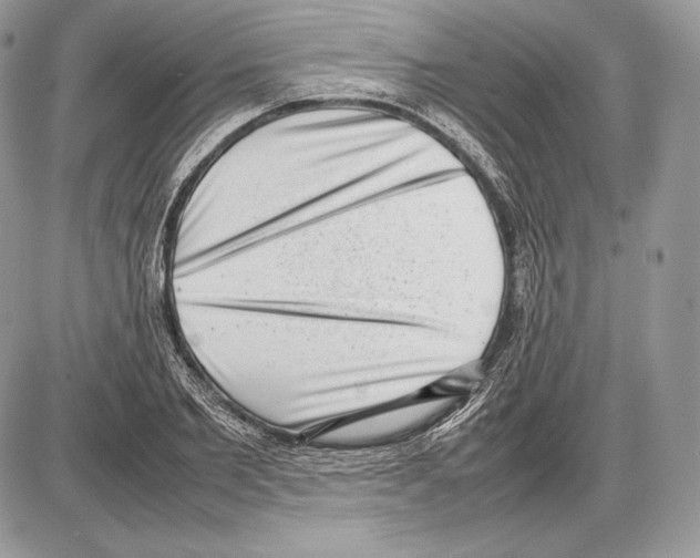 X0000085780885200704131826