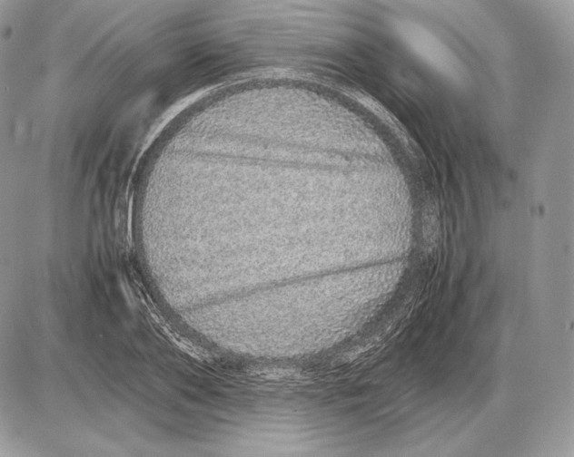 X0000085780886200704131826