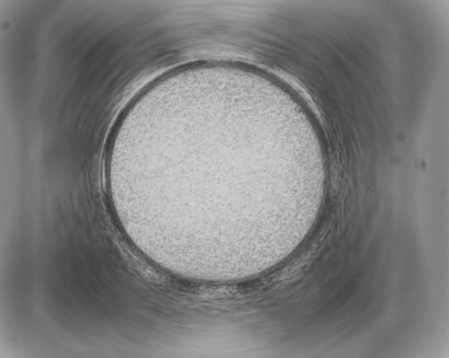 X0000085780887200704131826