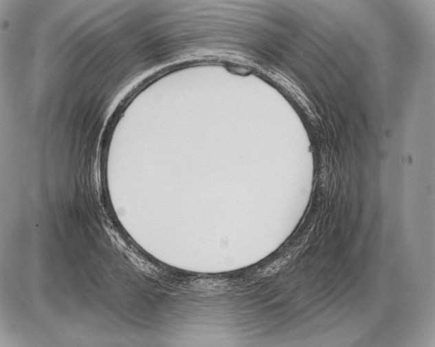 X0000085780888200704131826