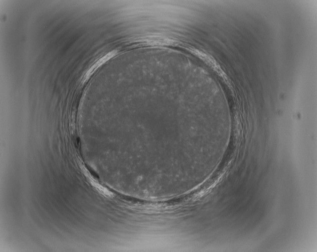 X0000085780889200704131826