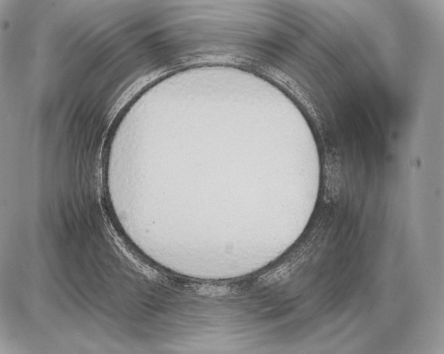 X0000085780890200704131826