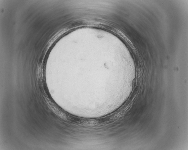 X0000085780891200704131826