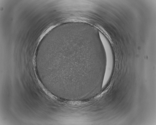 X0000085780893200704131826