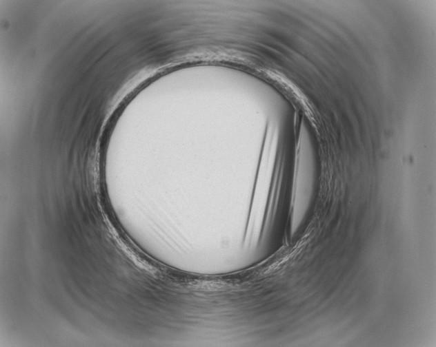 X0000085780894200704131826