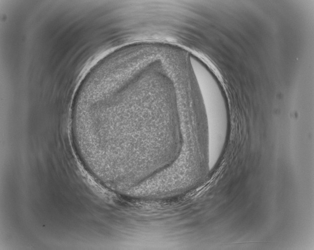 X0000085780895200704131826