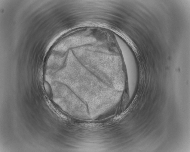 X0000085780896200704131826