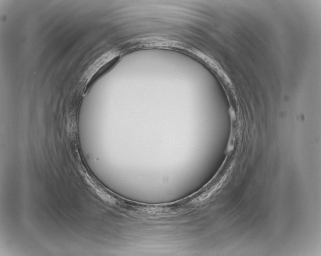 X0000085780897200704131826