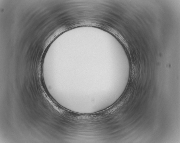 X0000085780898200704131826