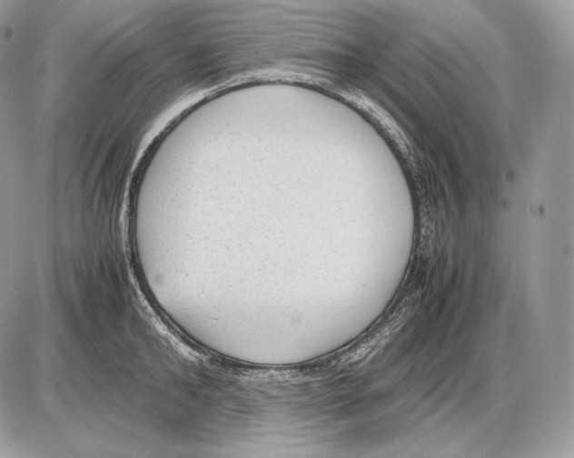 X0000085780902200704131826