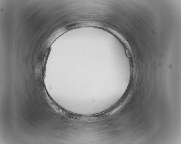 X0000085780905200704131826