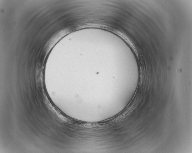 X0000085780906200704131826