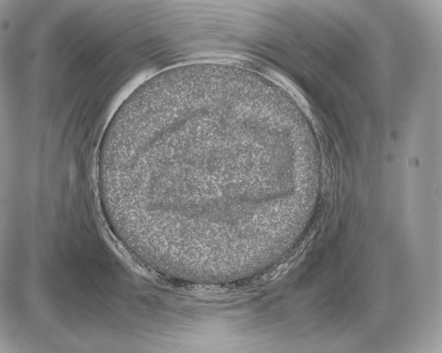 X0000085780907200704131826