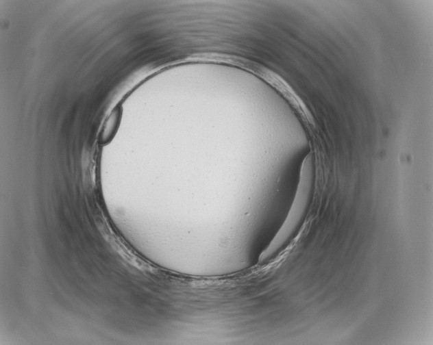 X0000085780908200704131826