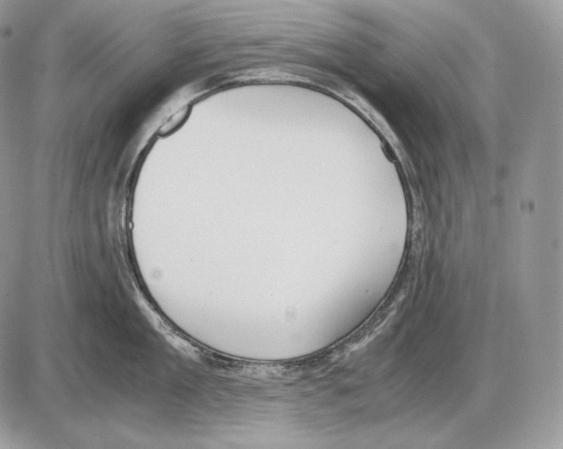 X0000085780909200704131826